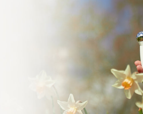 Spring Sale